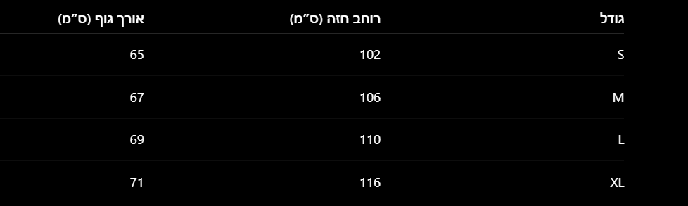 חולצת אוברסייז דילן