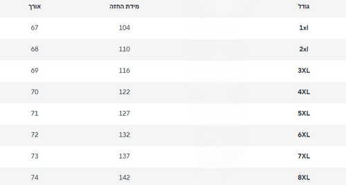חולצה אוברסייז לימור