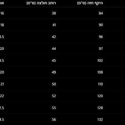 plus size חולצה קורי